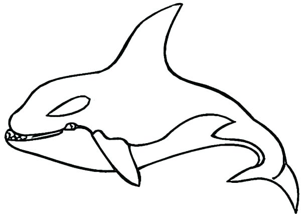 600x426 Whale Drawing For Kids