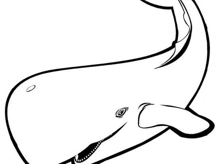 440x330 free blue whale coloring pages, blue whale coloring pages