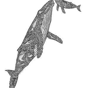 300x300 Humpback And Calf Drawing