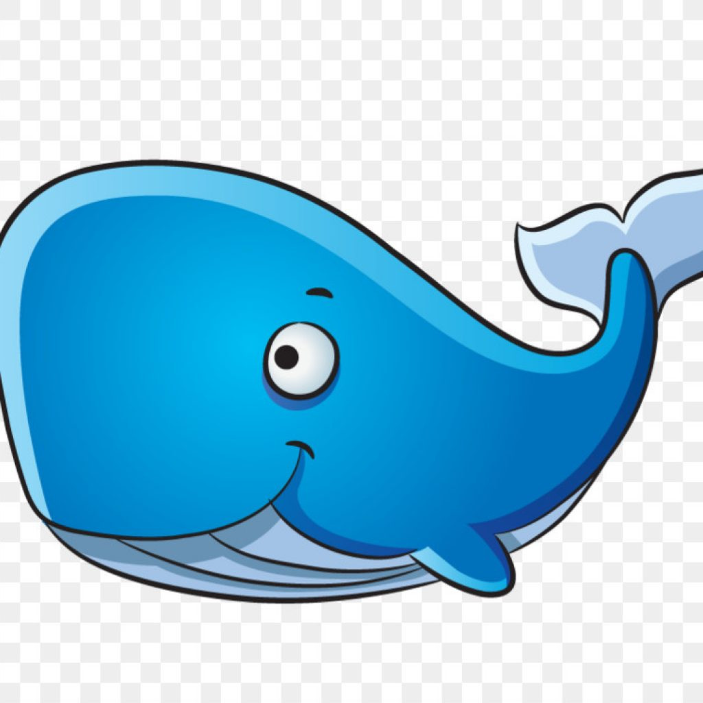 1024x1024 Whale Cartoon Drawing Fireworks Clipart Charte