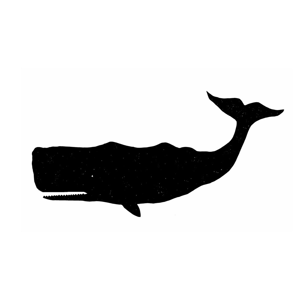 1000x1000 Whale Silhouette Drawing