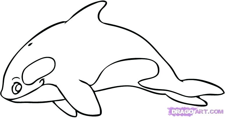 774x408 Whale Drawings For Kids