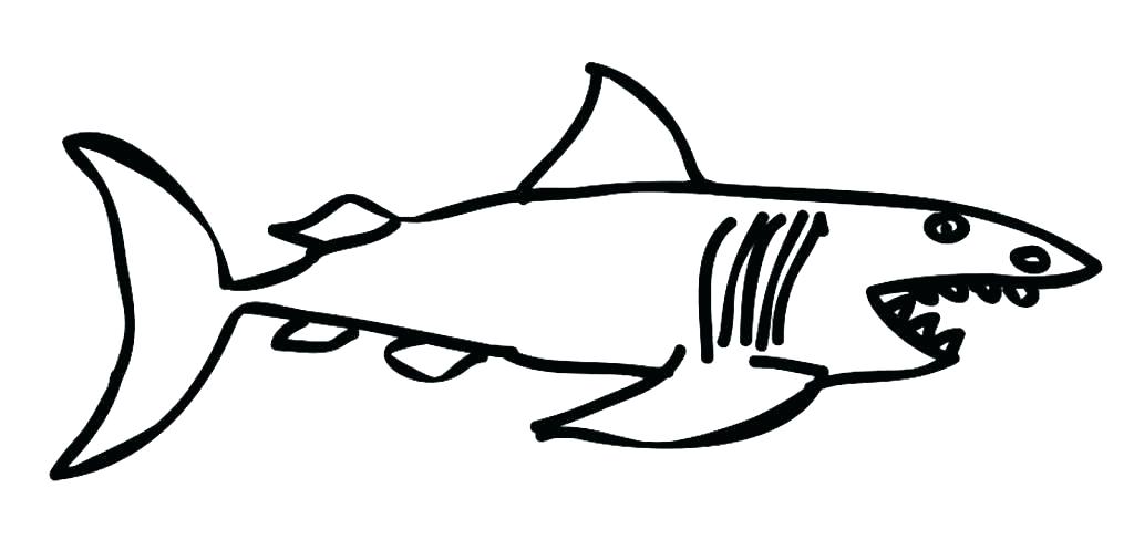 1024x497 Cool Shark Drawings Baby Shark Cartoon Drawings