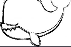 236x157 Cute Killer Whale Drawing Color Line Images Outline Cartoon Easy
