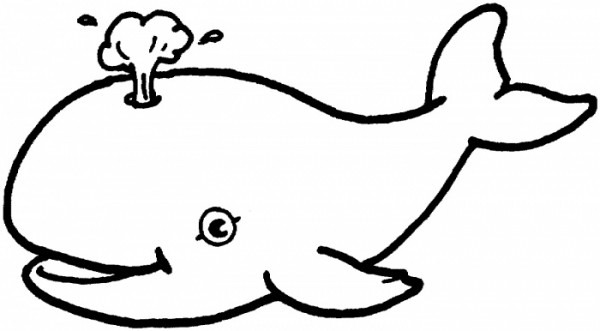 600x331 Line Drawing Of A Whale