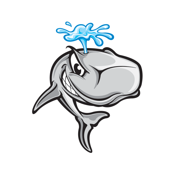 600x600 Mammal Drawing Sperm Whale Transparent Png Clipart Free Download