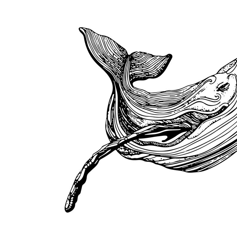 794x794 Whale Digital Download Illustration Digital Download Whale Etsy