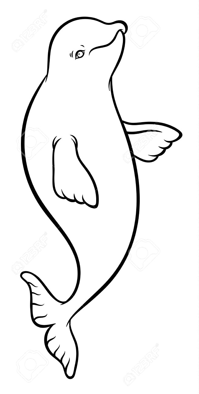 656x1300 Happy Smiling Beluga Whale Cartoon Vector Hand Drawing