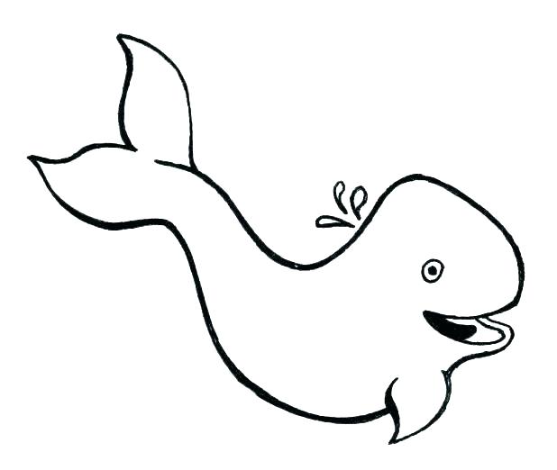 618x522 Coloring Pages Whale Palmarosa