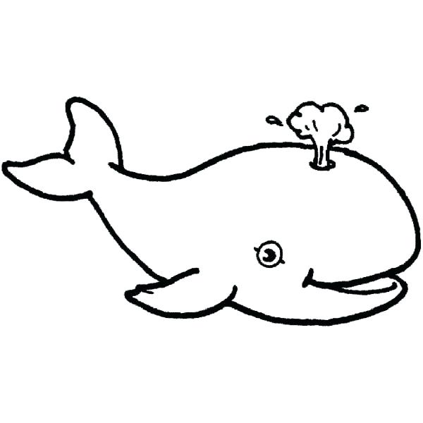 600x600 Whale Outline