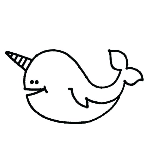 600x600 nice design ideas cartoon whale outline narwhal is toothed