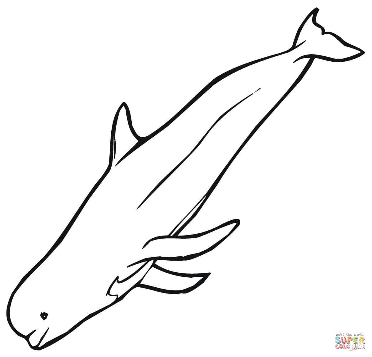 1200x1152 Whale Color