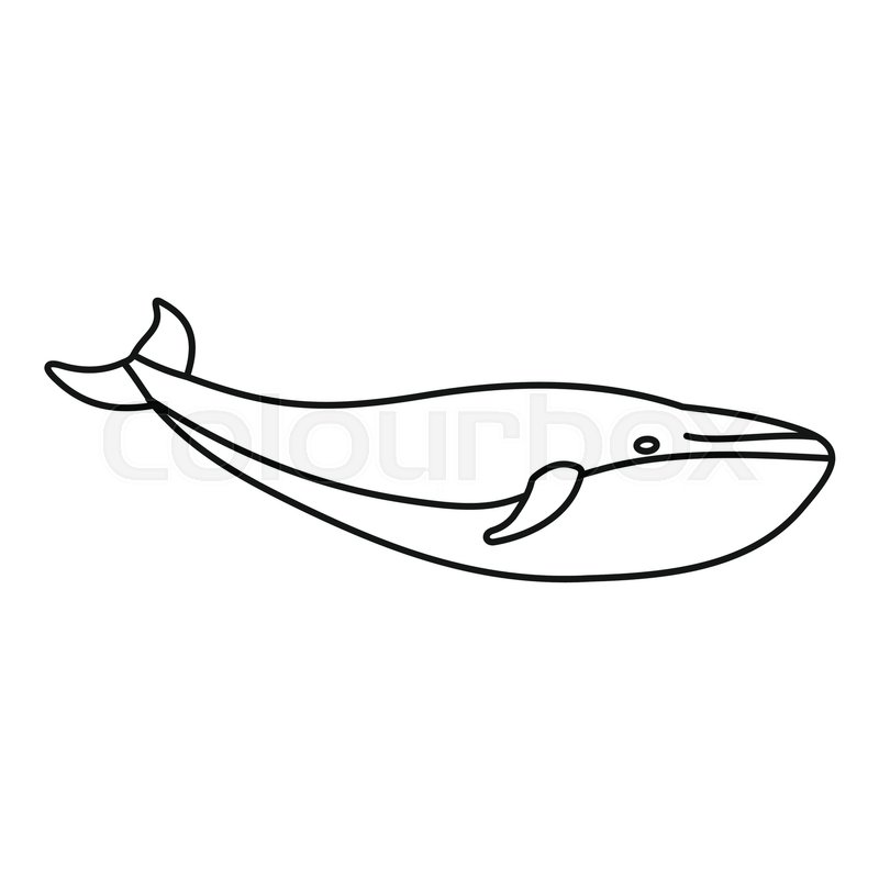 800x800 Whale Icon Outline Illustration Of Stock Vector Colourbox