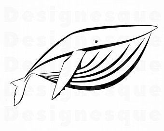 340x270 Whale Outline Etsy