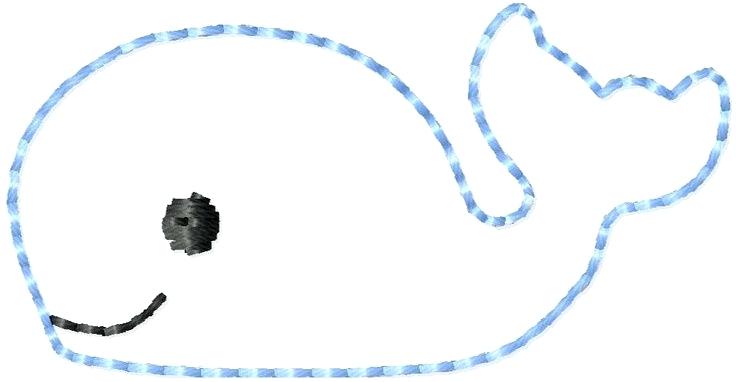 736x382 Whale Outline