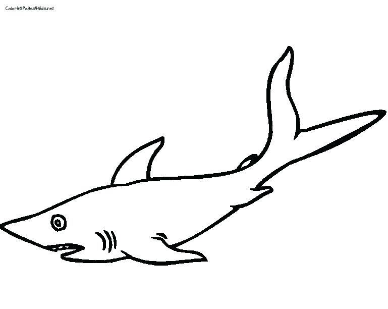 769x612 Hammerhead Shark Printable Coloring
