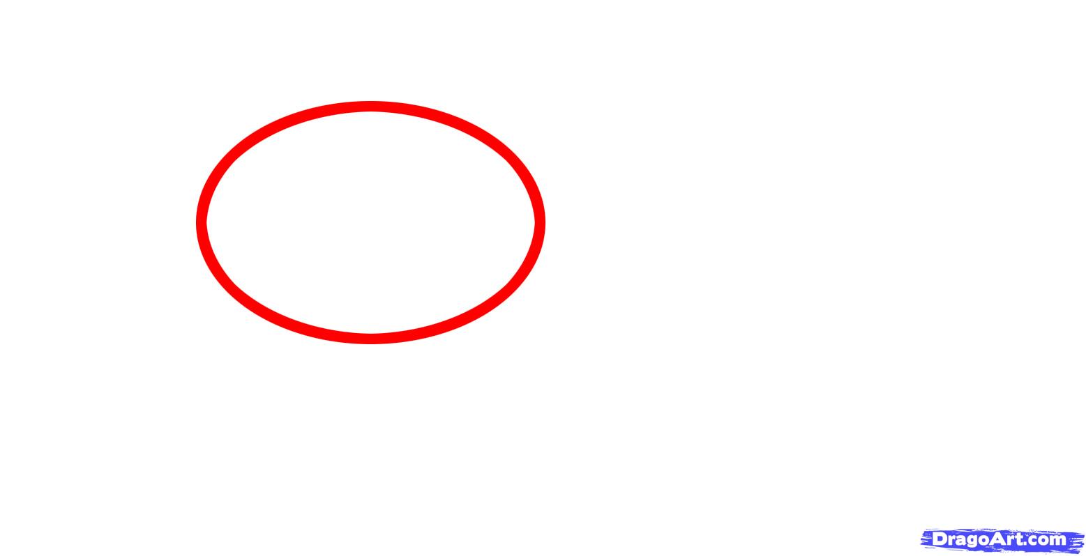 1557x798 How To Draw A Whale Shark, Whale Shark, Step