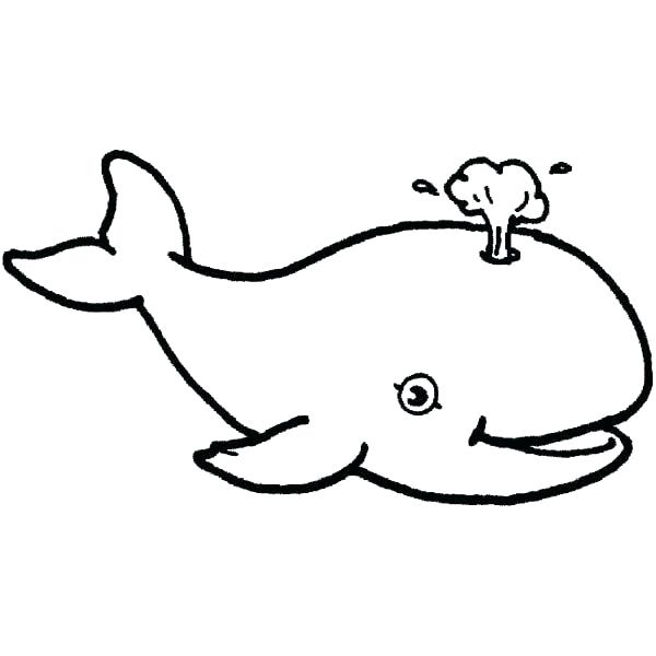 600x600 Whale Coloring Pages Printable Baby Whale Coloring