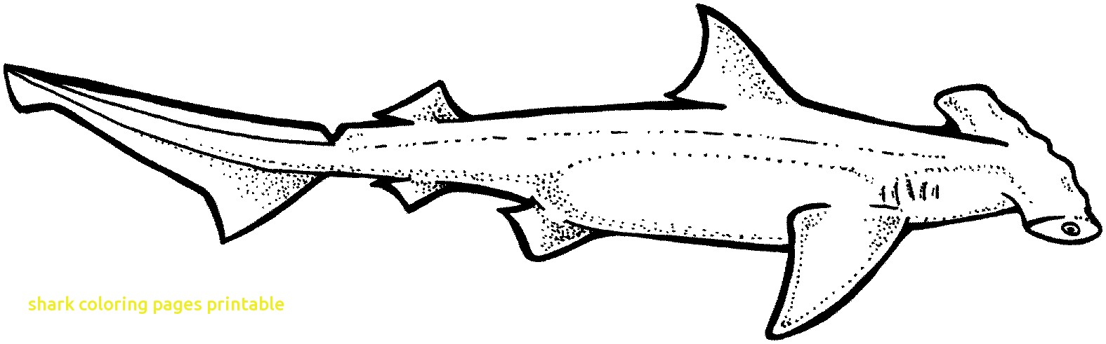 1575x491 Whale Shark Clipart