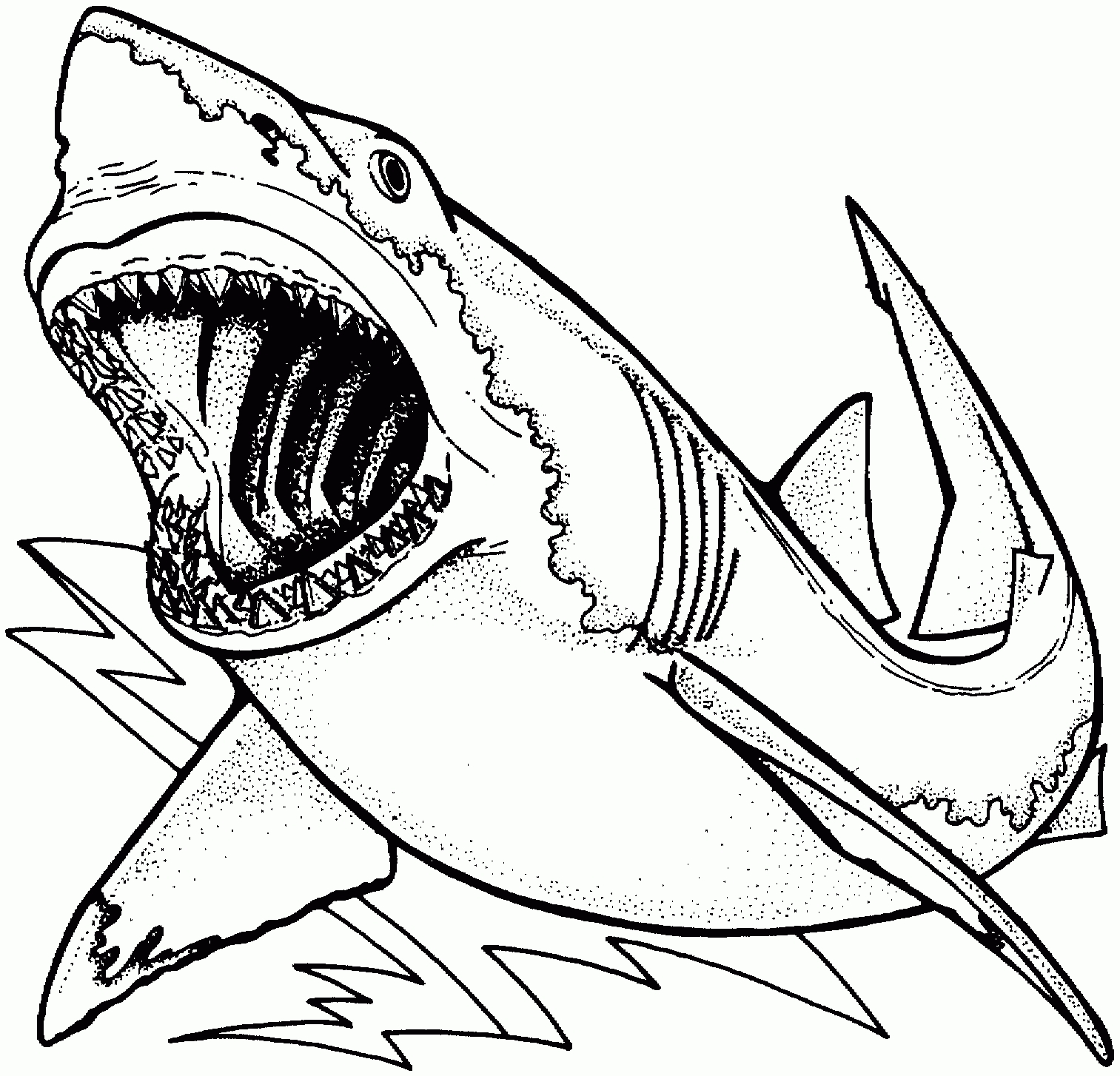 1513x1454 Whale Shark Coloring Page