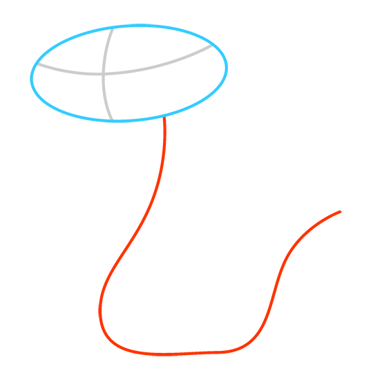 540x540 Whale Shark Drawing Cartoon Lesson