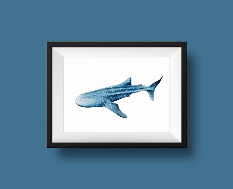 794x645 Whale Shark Original Illustration Ink On Watercolour Etsy