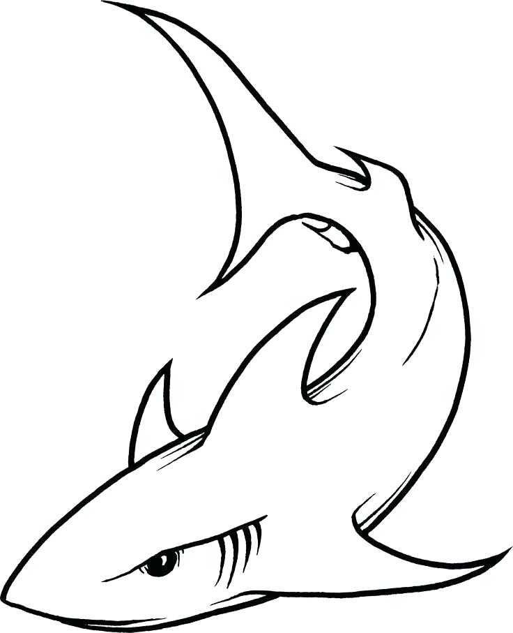 736x907 Easy To Draw Whale