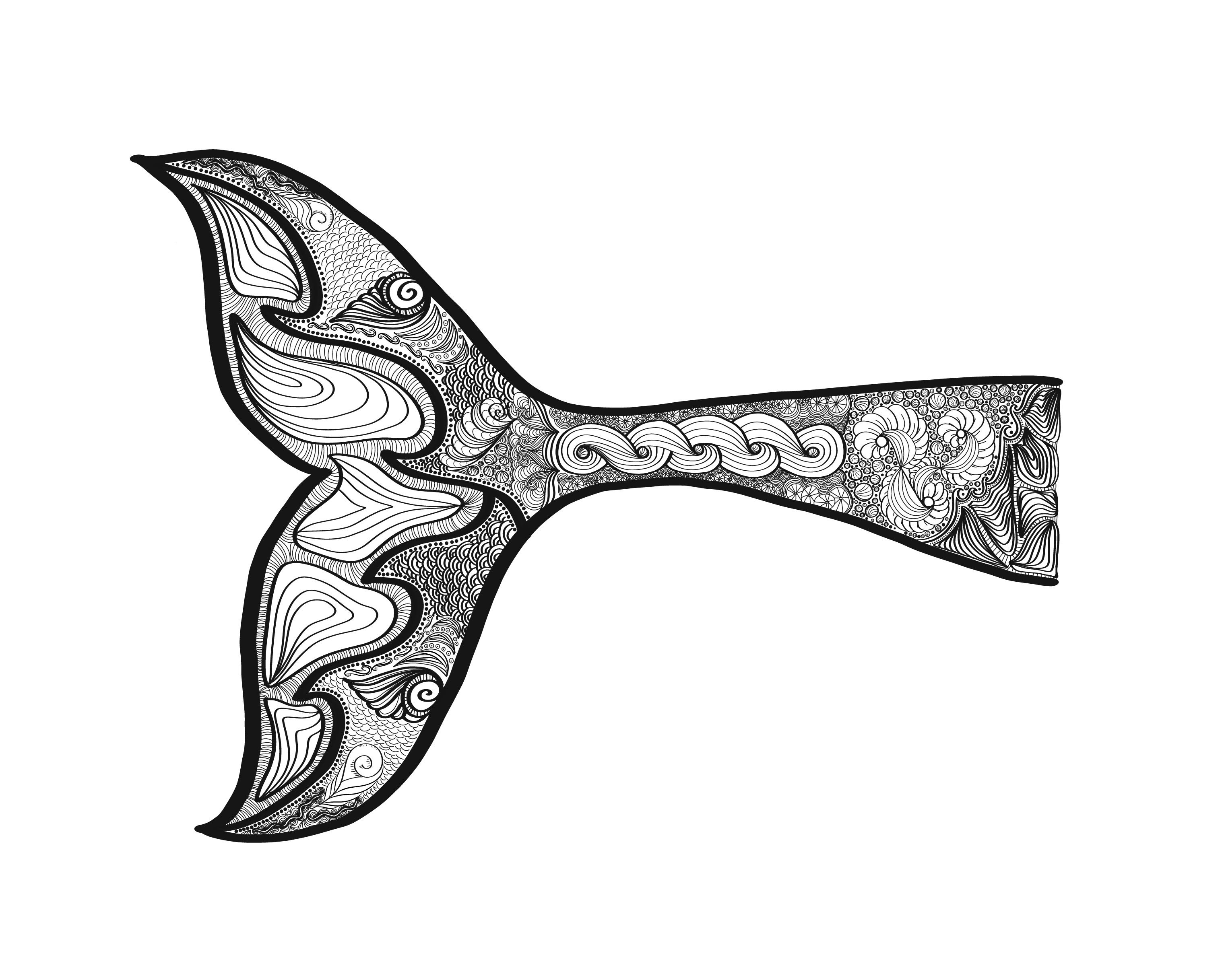 Whale Tail Drawing Free download on ClipArtMag