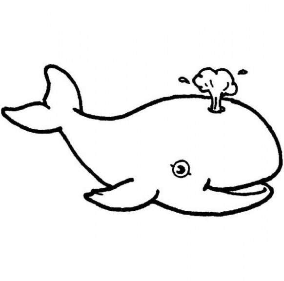 Whale Tail Drawing | Free download on ClipArtMag