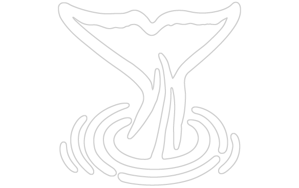 584x368 Whale Tail Drawing