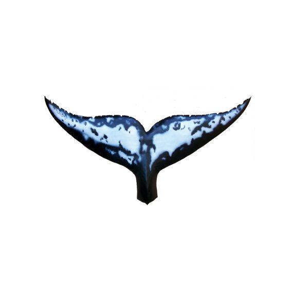 570x570 Whale Tail Art Sculpture Nautical Art, Whale Art, Nautical