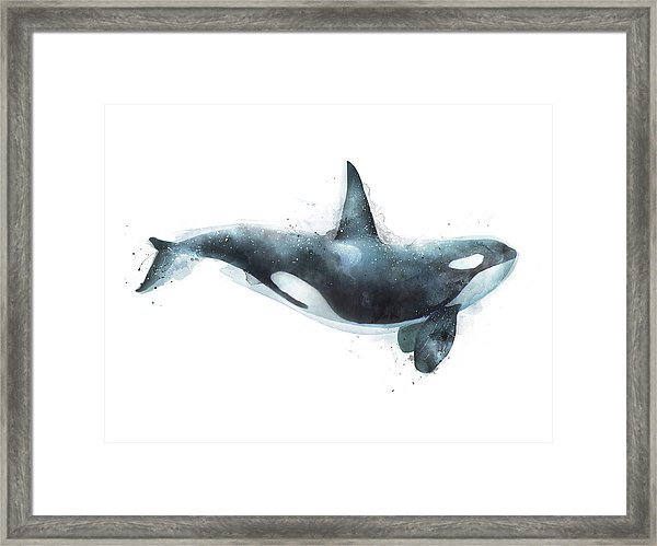600x499 Killer Whale Framed Art Prints Fine Art America