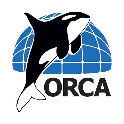 400x400 Orca The State Of European Cetaceans Report Wiseoceans