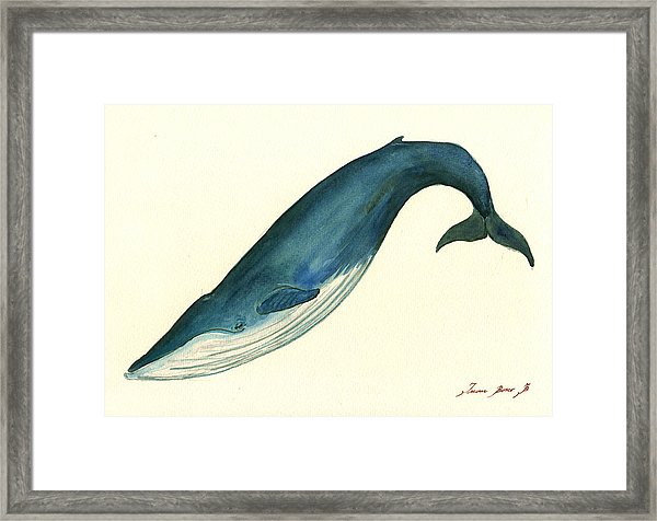 600x476 Whale Framed Art Prints Fine Art America
