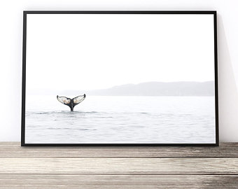 340x270 Whale Print Etsy