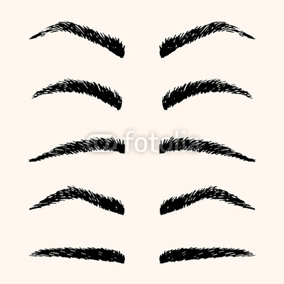 400x400 Types Of Brow Vector Illustration Template Hand Drawing Eyebrow