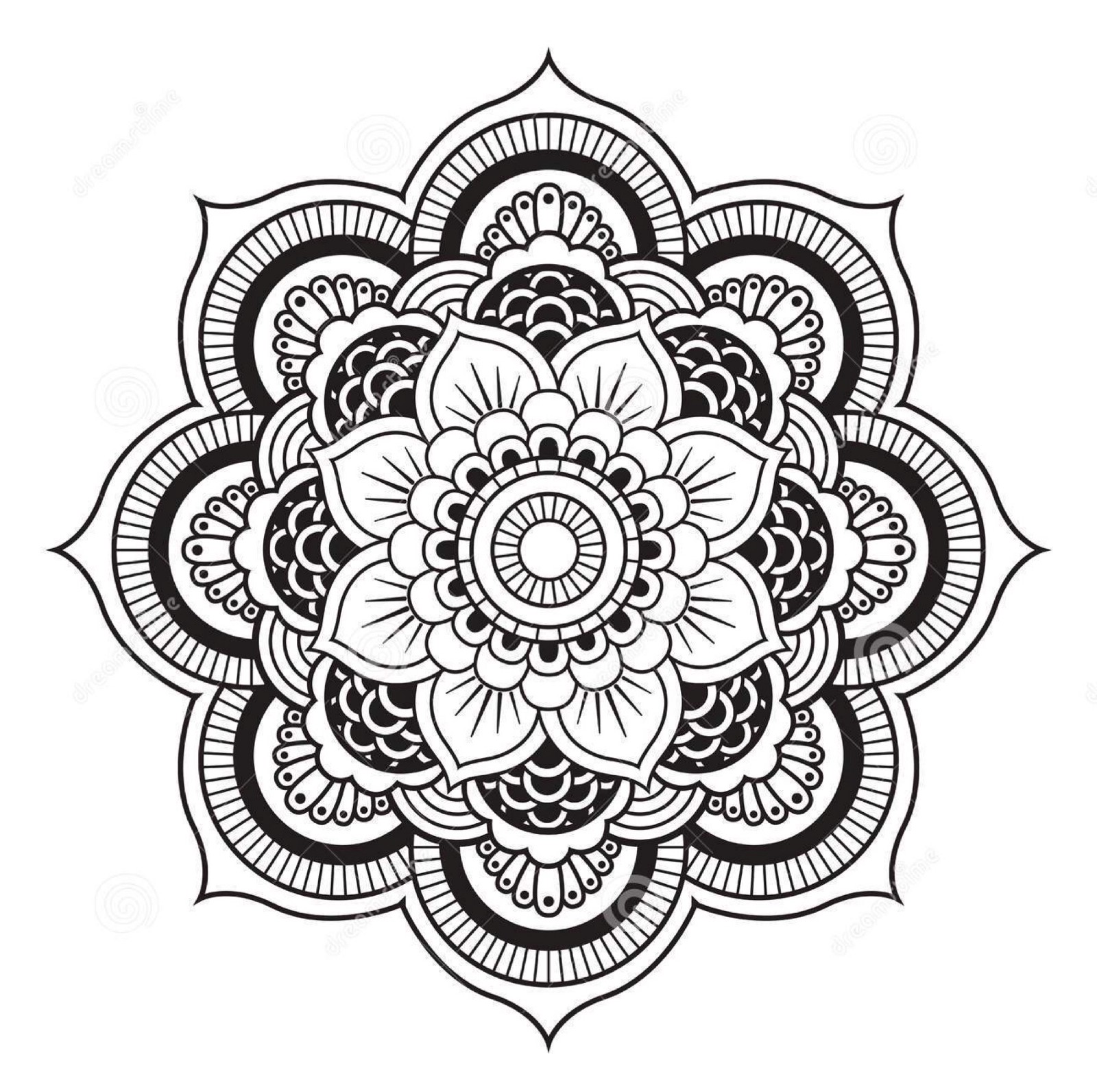 1600x1592 The Soothing Feeling Of Drawing Mandala Pelle Kimvall Medium