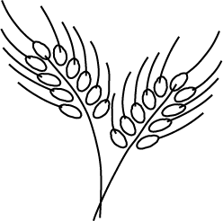 248x246 Collection Of Free Wheat Drawing Simple Download On Ui Ex