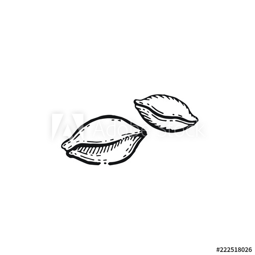 500x500 Vector Illustration Of Hand Draw Wheat Ears Cereal Bread Sketched