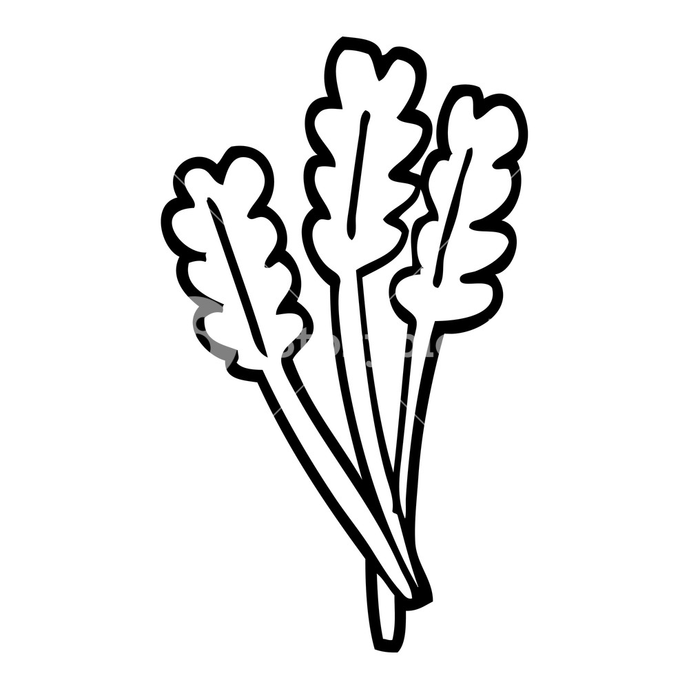 1000x1000 Black And White Cartoon Dried Wheat Royalty Free Stock Image