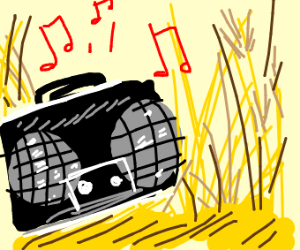300x250 Boombox In A Wheat Field