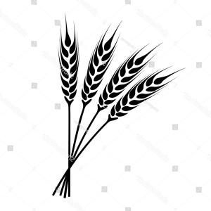 300x300 Photostock Vector Silhouette Icon Of The Crop Of Agriculture Grain