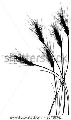 236x400 Best Wheat Tattoo Images Wheat Tattoo, Drawings, Awesome Tattoos