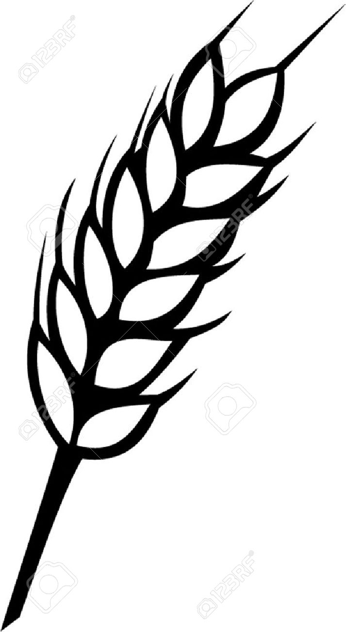 713x1300 Ear Of Wheat Clipart