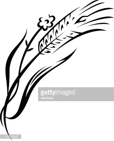372x460 Wheat Premium Clipart