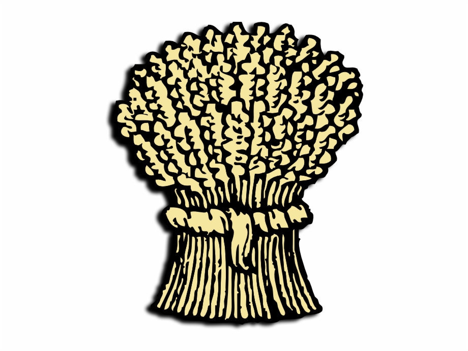 920x691 Alpha Omicron Pi Symbol