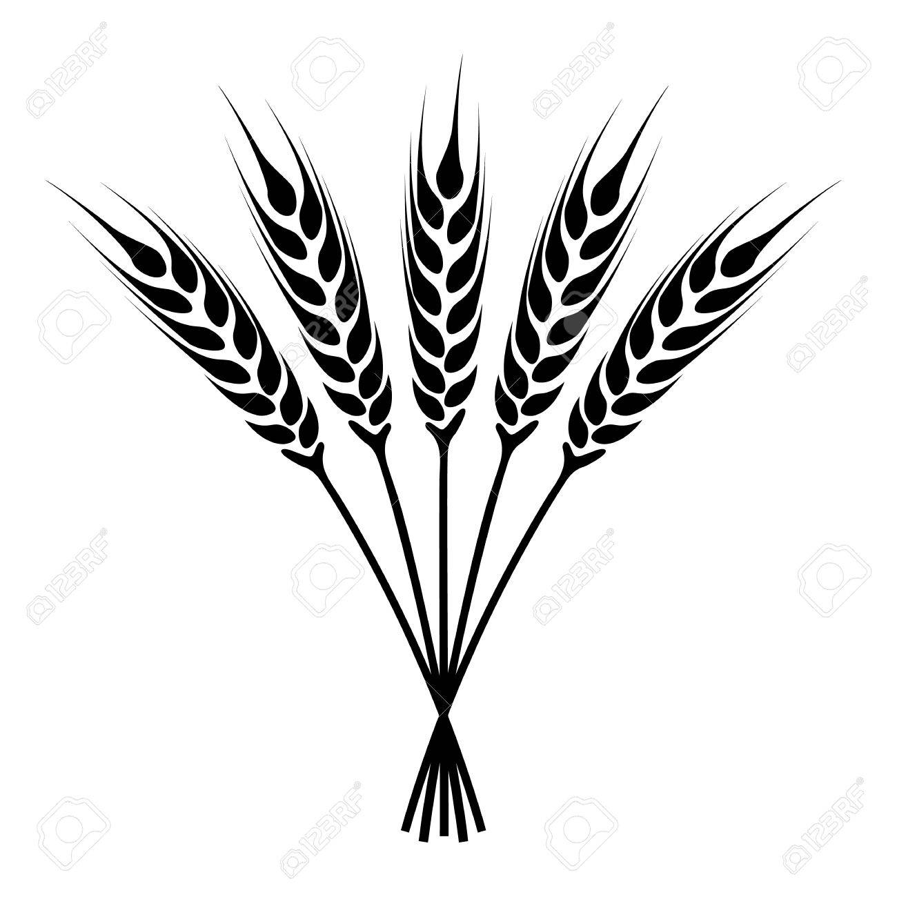 1300x1300 Grain Drawing Wheat Flower For Free Download