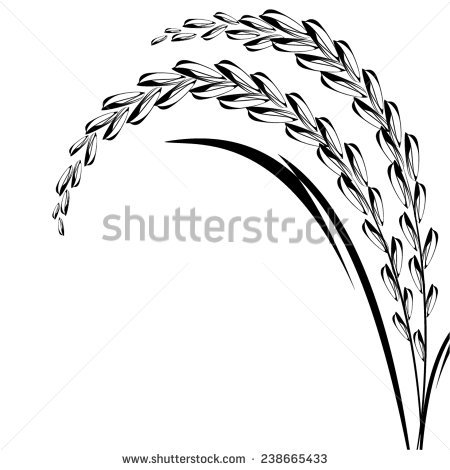 450x470 Rice Plant Clipart Black And White Collection