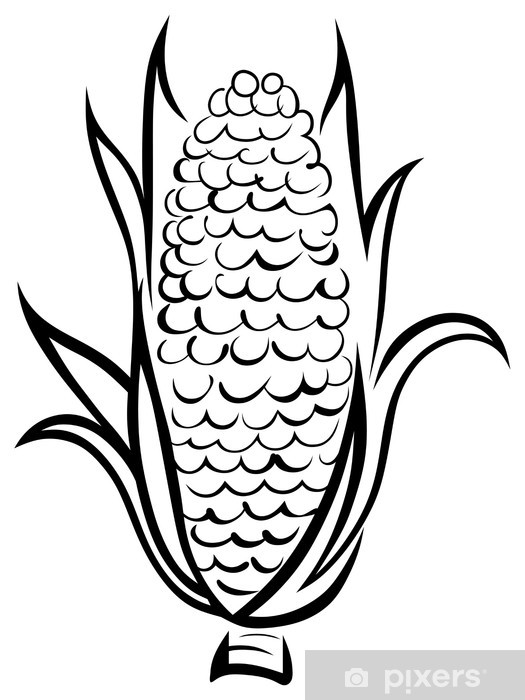 525x700 wheat and rye wall mural we live to change