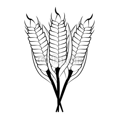 400x400 Wheat Food Symbol In Black And White Buy Photos Ap Images